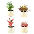 thumbnail image 1 of Laklulu Mini suculentas planta de simulación de decoración del hogar interior, 1 of 5