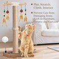 thumbnail image 2 of Cat Scratching Post, 2 of 5