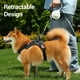 thumbnail image 3 of Correa Para Caminar Para Mascotas, Empuñadura Cómoda Correa Para Perros Retráctil Con 5 M Para Caminar Al Aire Libre, 3 of 7