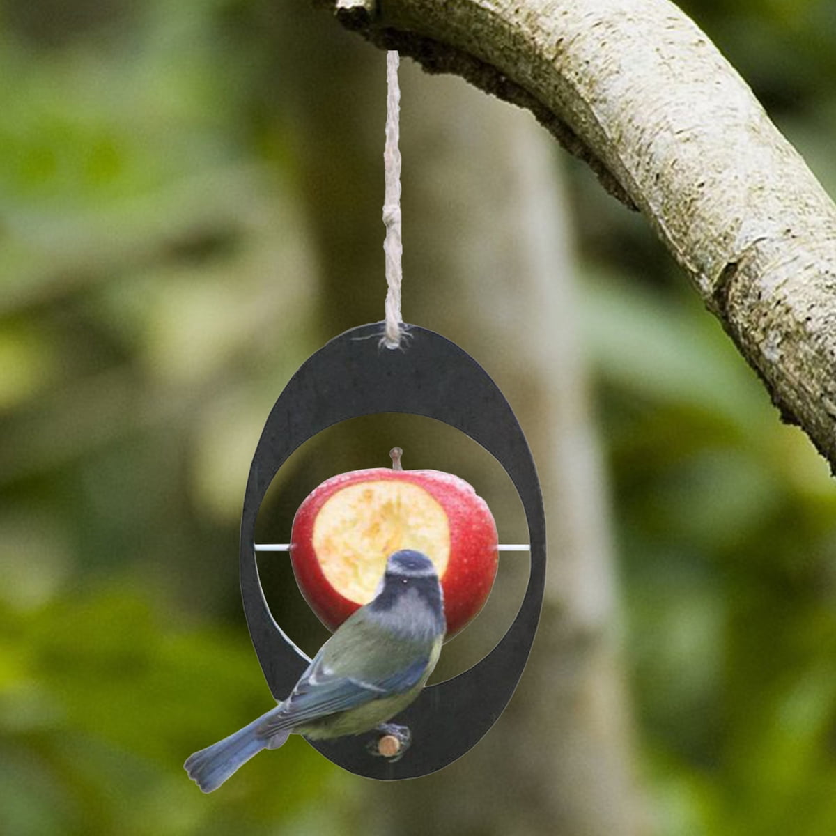 Travelwant Bird Feeder for Outdoors Jelly and Oranges, Orange Fruit