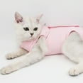 thumbnail image 5 of Cat Post Surgery Recovery Clothes Anti Scratch Protective Suit for Female Cats After Spaying Nursing Care, 5 of 18
