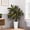 5FT, variant on Ataujin Real Touch Artificial Dracaena Tree, Lifelike Silk Leaves, Multi-Tonal Trunks, White Tall Planter, Decorative Stones, Large Faux Indoor Plant