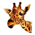 thumbnail image 2 of deevoka Animal Heads Art Sculpture Collectible Art Statue Rustic Wall Sculpture for Wall Giraffe, 2 of 9