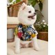 thumbnail image 1 of PETSIN Leaf Print Pet Shirt, 1 of 5