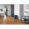 thumbnail image 4 of ROGER Air Purifier, 4 of 8