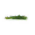 thumbnail image 6 of Bouquet Dill Seeds/ Annual/ Full Sun/ 320K Seeds 1 lb/ Zellajake Farm and Garden - B34, 6 of 6