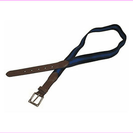 Polo Ralph Lauren Mens Striped Leather Trim Stretch Belt (34, Navy/Royal)