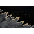 thumbnail image 2 of Chang, Phillip 14x11 White Modern Wood Framed Museum Art Print Titled - Flying Over The Lake, 2 of 4