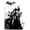 Premium Poster & Mount Bundle, variant on DC Comics Video Game - Arkham City - Catwoman Wall Poster, 22.375" x 34"