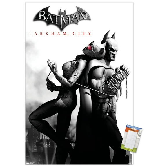 DC Comics Video Game - Arkham City - Catwoman Wall Poster, 22.375" x 34"