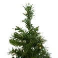 thumbnail image 4 of Northlight Pre-Lit Medium Royal Pine Artificial Christmas Tree - 2' - Clear Lights, 4 of 6