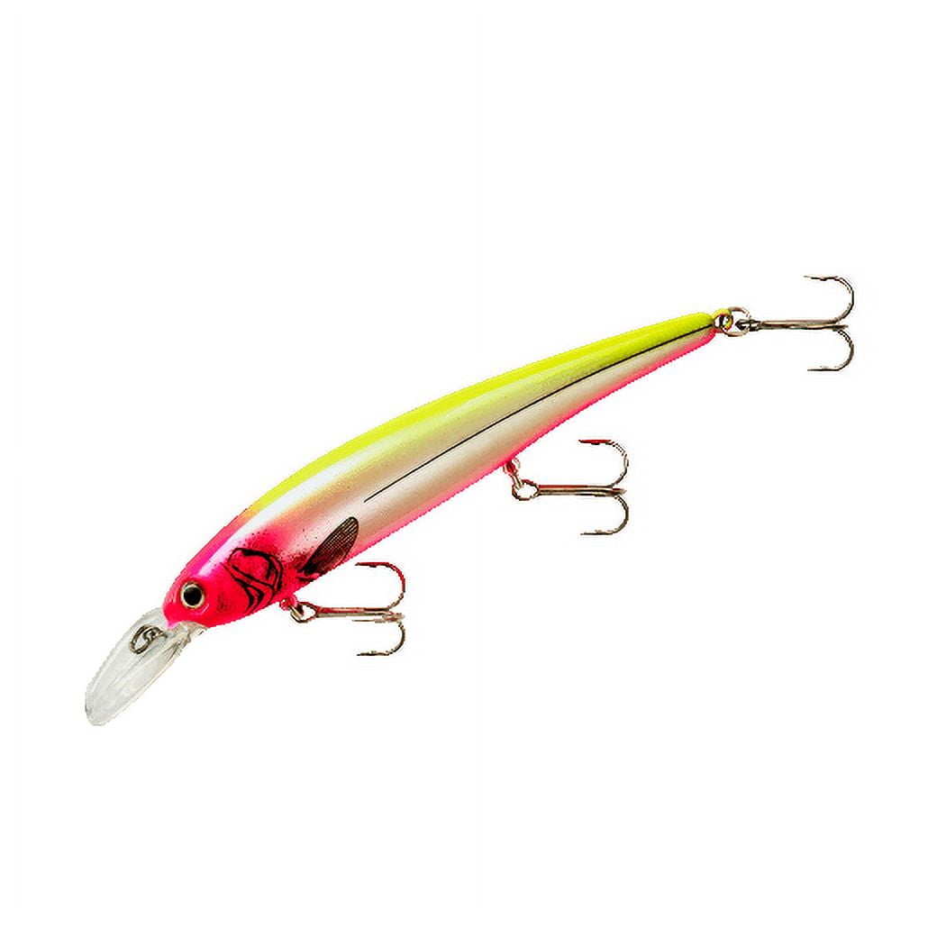 alberta trout lures HD Trout Crankbait – Realistic Sinking Jerkbait for Trout