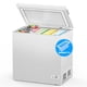 thumbnail image 1 of Cesta extraíble Chest Freezer Joy Pebble de 198 litros y 7.0 pies cúbicos, color blanco, 1 of 7