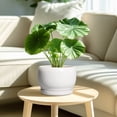 thumbnail image 3 of Ordivic 8 inch Glossy White Ceramic Planter with Drainage Hole & Tray, Indoor Outdoor Round Flower Pot for ZZ Plants,Home Patio Decor, 3 of 6