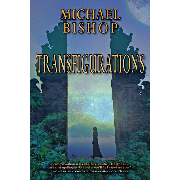 Transfigurations, (Paperback)