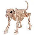 thumbnail image 4 of Bruiser Bonez the Skeleton Dog, 4 of 5