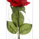 thumbnail image 5 of Flor de rosa eterna del día de San Valentín con luces de cadena de hadas en vidrio (rojo) Likrtyny Para estrenar, 5 of 6