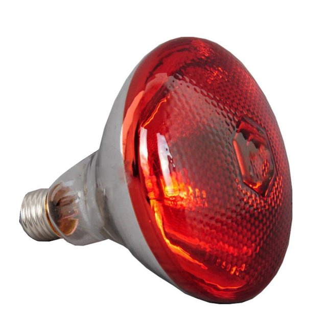 250w Infrared Heat Lamp Waterproof Anti-explosion Thickened Light Bulbs For Piglet Chicken Duck-xdd