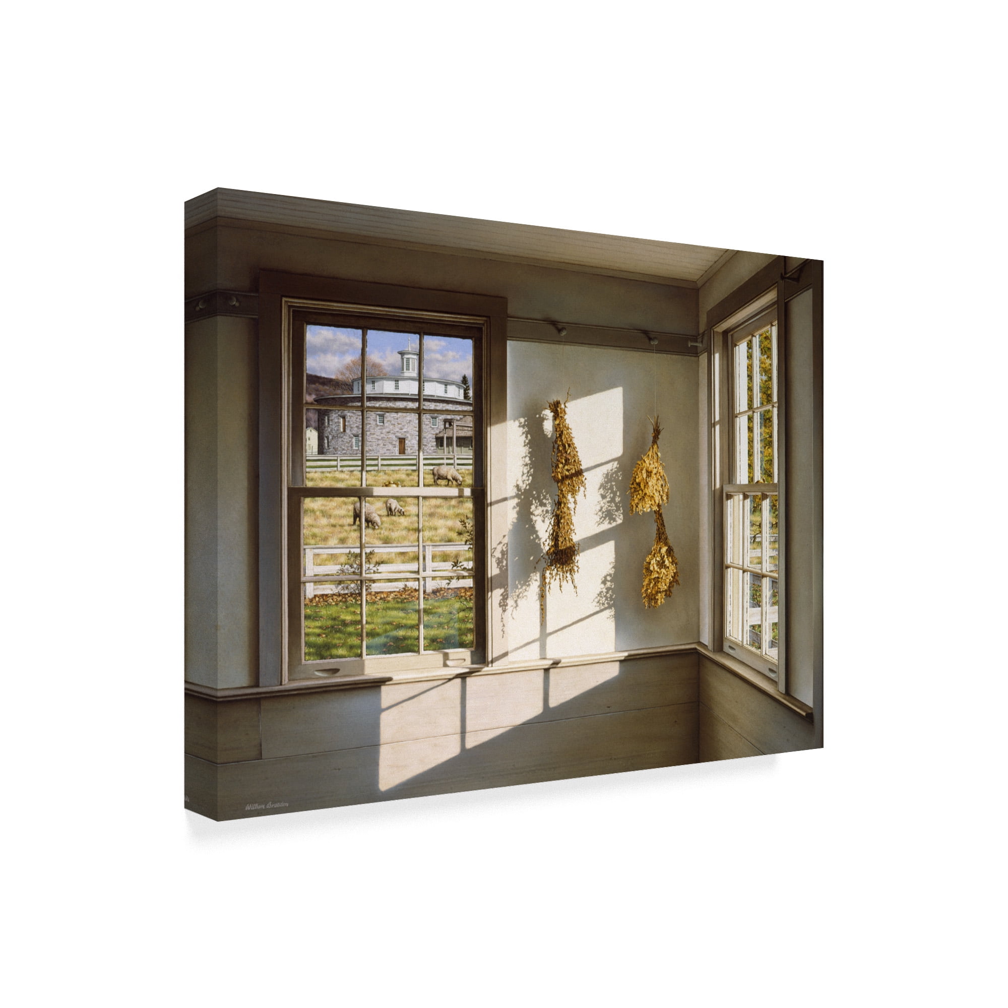 Trademark Fine Art 'Order And Light' Canvas Art by William Breedon