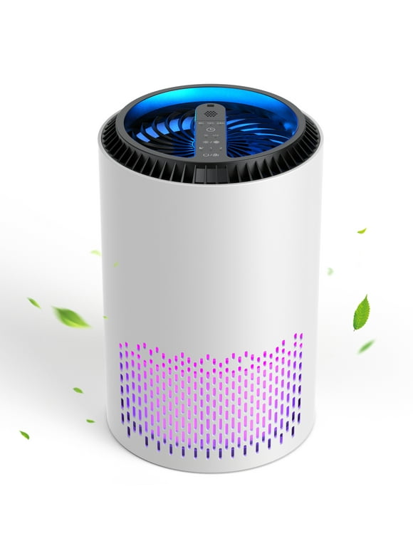 HEPA Air Purifiers in Air Purifiers