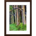 thumbnail image 2 of Hawaii, Maui, Rainbow Eucalyptus Trees, Botanical Framed Art Print Wall Art by Terry Eggers Sold by Art.Com, 2 of 6