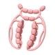 thumbnail image 5 of Rodillo de masaje de piernas Relax Roller de 20 ruedas Masaje relajante versátil Masaje manual rosa, 5 of 8