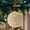 New--Gold, variant on High End Champagne-colored Large Christmas Ball Painted Ball Christmas Decoration Pendant Xmas Home Decor