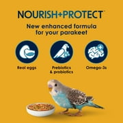 Kaytee Forti-Diet Pro Health Egg-Cite! Nourish+Protect Parakeet Food 5 Pounds