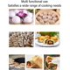 thumbnail image 3 of Prensa de Tortillas, Máquina para Hacer Tortillas y Roti, Herramienta de Prensado Manual para Hacer Tortillas de Aleación de Aluminio para Hacer Hamburguesas de Pastel de Pizza, 3 of 4