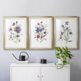 thumbnail image 4 of Color Variety I Premium Framed Prints Set of 3 - Ready to Hang - 30.5 x 42.5 Each - Gold Frame, 4 of 9