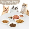 thumbnail image 5 of 6 Pack Cat Food Bowl, Ceramic Cat Bowls, Anti Whisker Fatigue Cats Bowl Set, 5.5 inches Shallow Wide Kitten Plates for Food and Water, 5 of 9