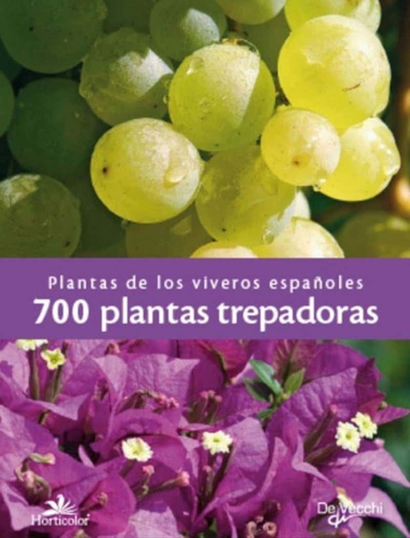 700 PLANTAS TREPADORAS: PLANTAS DE LOS VIVEROS ESPAÑOLES DE VECCHI ...