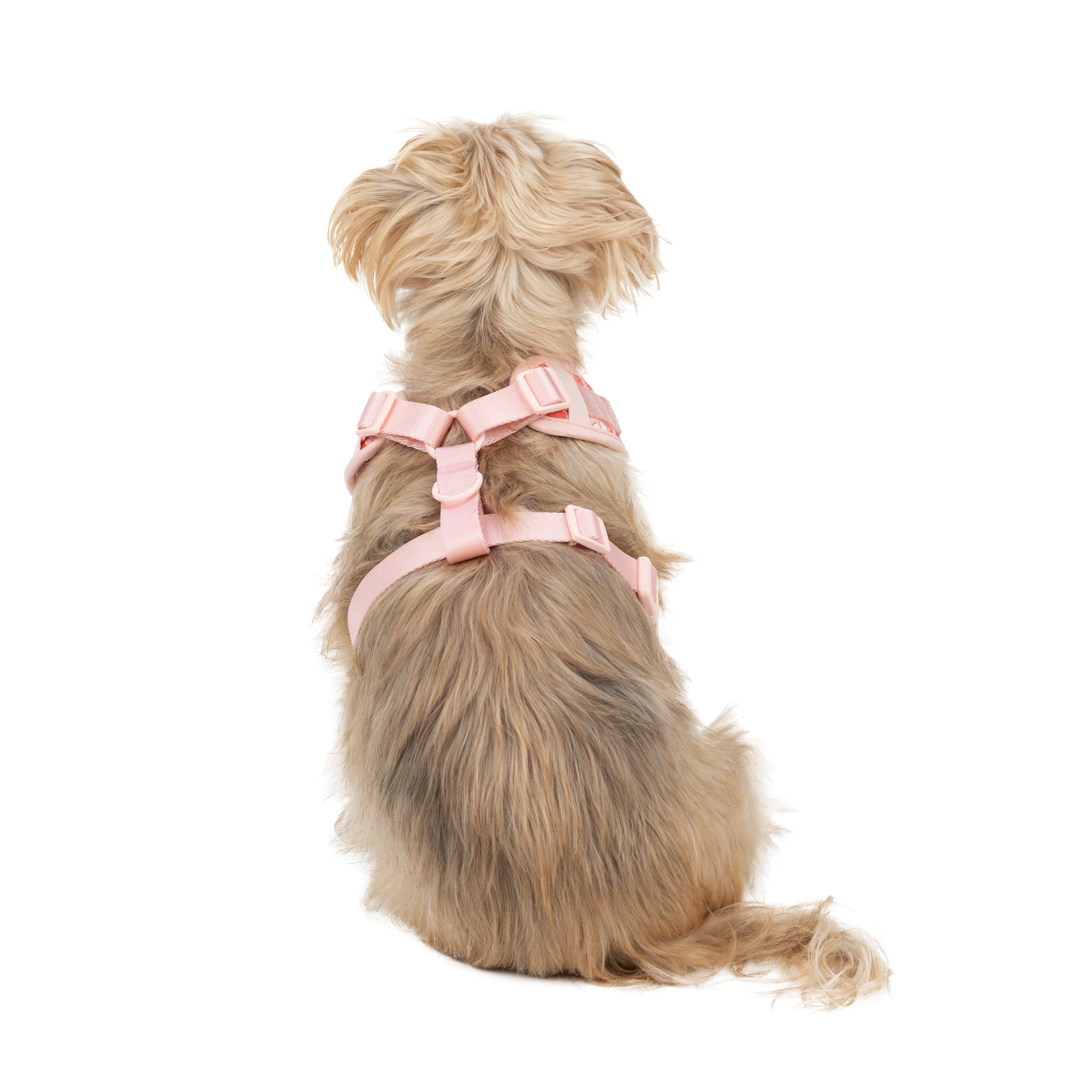 Vibrant Life Polyester & Spandex Floral Adjustable Dog Harness, Pink, Small