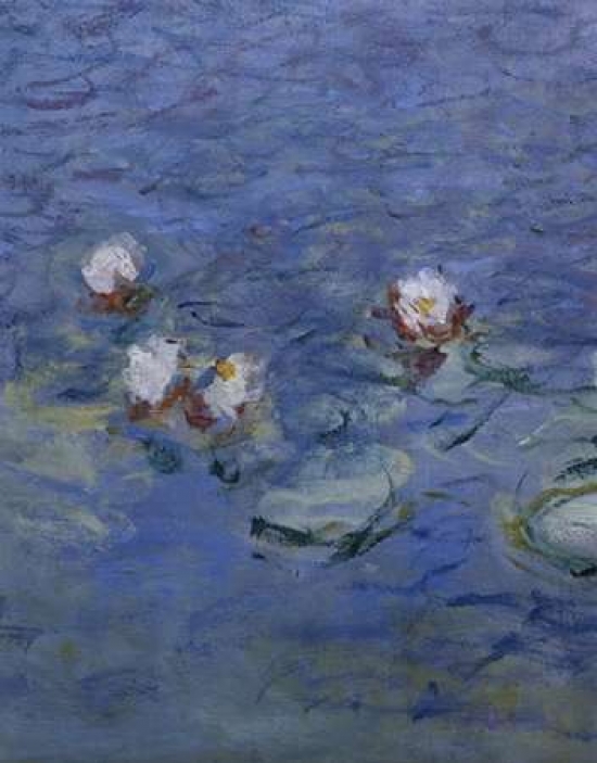 Water Lilies - Deta