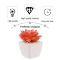thumbnail image 5 of NUOLUX Artificial Plants Faux Mini Potted Greenery Ceramic Small Pots Home Office Decor, 5 of 6
