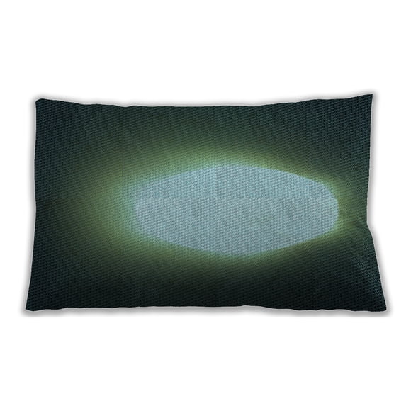 Ahgly Company Outdoor Rectangular Contemporary Lumbar Throw Pillow, 13 inch by 19 inch