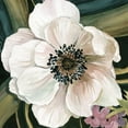 thumbnail image 2 of Robinson, Carol 15x15 Black Ornate Wood Framed with Double Matting Museum Art Print Titled - Anemone Study IV, 2 of 4