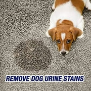 Resolve Urine Destroyer Pet Urine Stain & Odor Remover Spray, 32oz (Pack of 2)