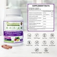 thumbnail image 6 of Elderberry Capsules with Zinc, Vitamin C, Vitamin D, Echinacea, Ginger, Amla, Vegan, Non-GMO, 90 Count, 6 of 11