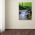 thumbnail image 3 of Trademark Fine Art "Valley Stream" Canvas Wall Art by Kurt Shaffer, 3 of 3