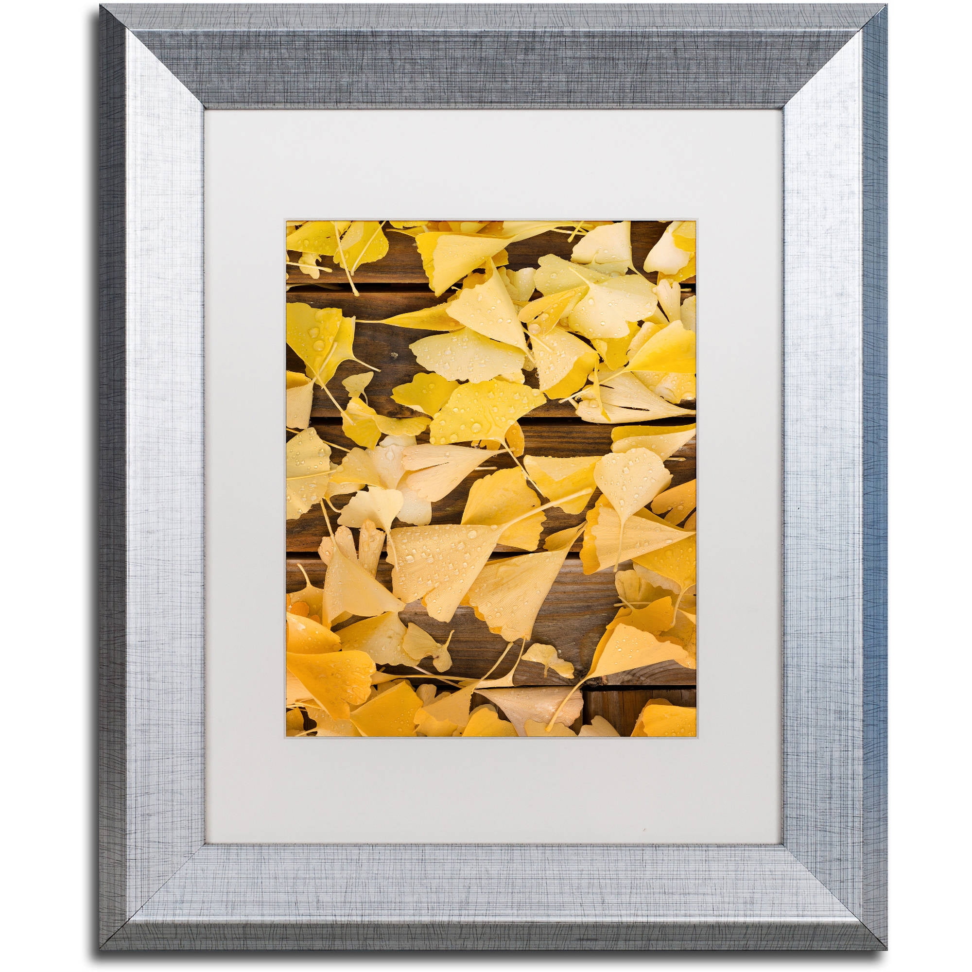 Trademark Philippe Sainte-Laudy Light in Vineyards Gallery-Wrapped