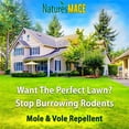 thumbnail image 2 of Nature's MACE Mole & Vole Repellent, 5 Gallon Pure Castor Oil Concentrate, Covers up to 100,000 Sq. ft, 2 of 8