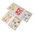 thumbnail image 3 of Colorful Dried Flowers,5 Bags Pressed Flowers Dried Pressed Flowers Pressed Dry Flowers Future-Proof Design, 3 of 14