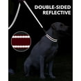 thumbnail image 4 of zalens Dog Leash Double Handle 4ft Long, Padded Traffic Handle and Reflective, Red, 4 of 6