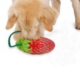 thumbnail image 3 of 2PCS Strawberry Pet Toy Bite Resistant Realistic Dog Squeaky Toy Pet Chewing Toy, 3 of 10