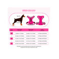 thumbnail image 3 of Pechera Arnés De Seguridad Xtellar  Para Perro Chico Mediano Y Grande, 3 of 3
