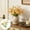 Orange, variant on Ywbawe Artificial Chamomile Daisy Bouquet, 52cm Faux Flowers with Sprigs for Spring Easter Home Decor, Table Centerpiece, 30 Heads