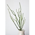 thumbnail image 6 of 23" Faux Green Pencil Cactus Succulent Stem, 6 of 6