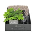 thumbnail image 1 of Set de Baño Hometrends Tapete + Dispensador + planta, 1 of 4