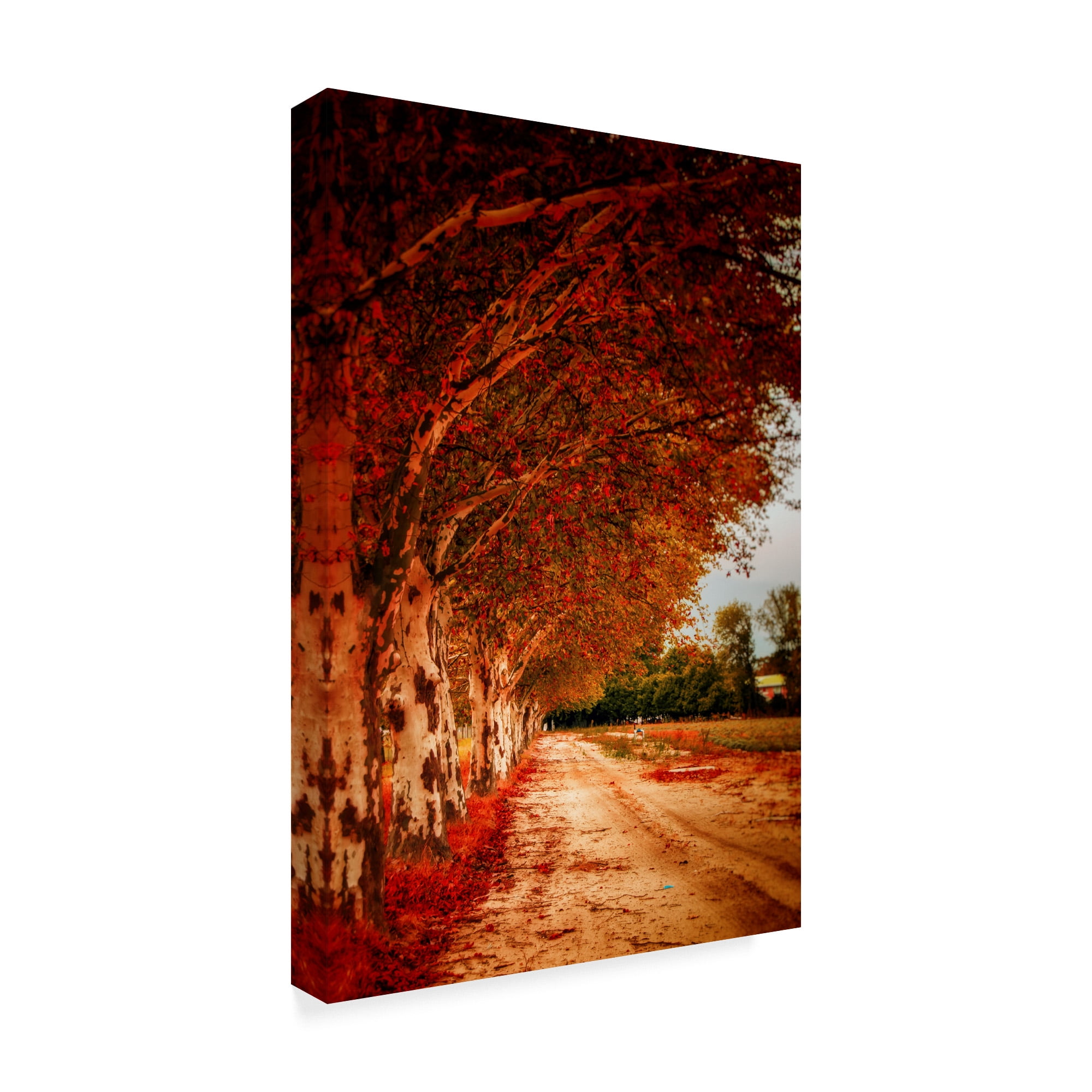 Trademark Fine Art 'Autumn Paths' Canvas Art by Pixie Pics